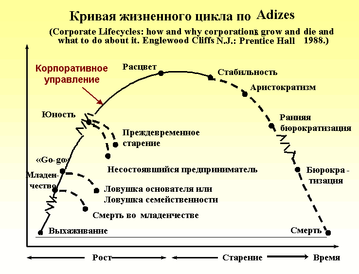 Кривая жизненного цикла корпорации по Adizes
