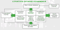Структура органов управления
