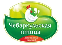 Чебаркульская птица